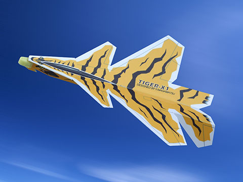 TIGER-X1