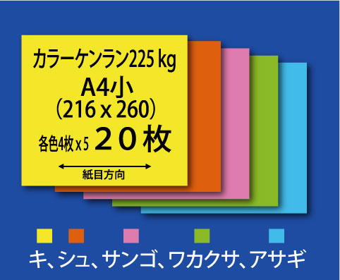 s@p(J[PENEW ~bNX225kg-A4j20