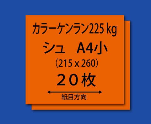 ★紙飛行機用紙（カラーケンラン・シュ225kg-A4小）20枚
